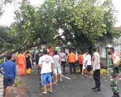 Hujan Disertai Angin Kencang Beberapa 