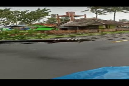 AKIBAT ANGIN KENCANG DI JALAN RAYA