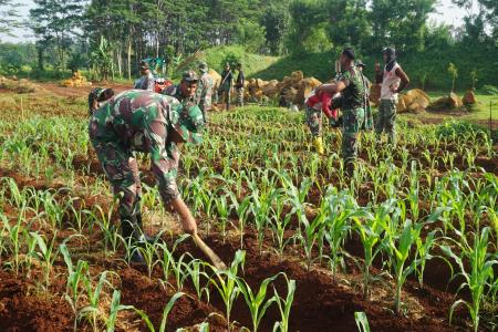 Sulap Lahan Tidur Untuk Ketahanan Pang