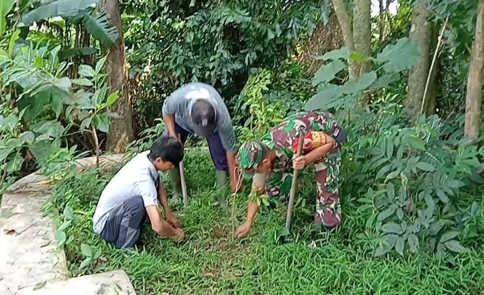 Babinsa Dan Warga Ngadirejo, Tanam Pohon Beringin Dan Saman Untuk Lestarikan Alam Dan Sumber Air
